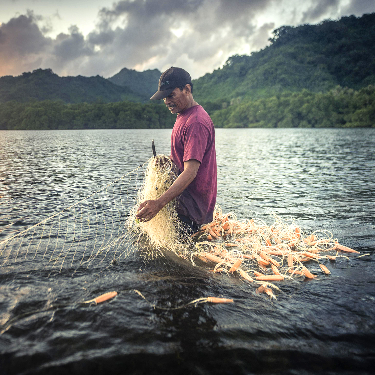 Fisherman empties his net on the island of Kosrae.