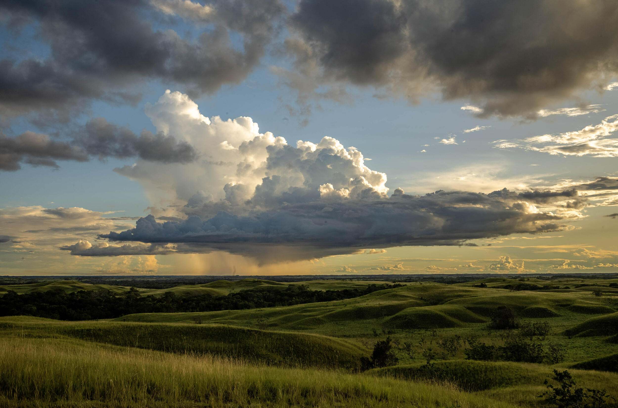 Rolling savannas in the National Natural Park.