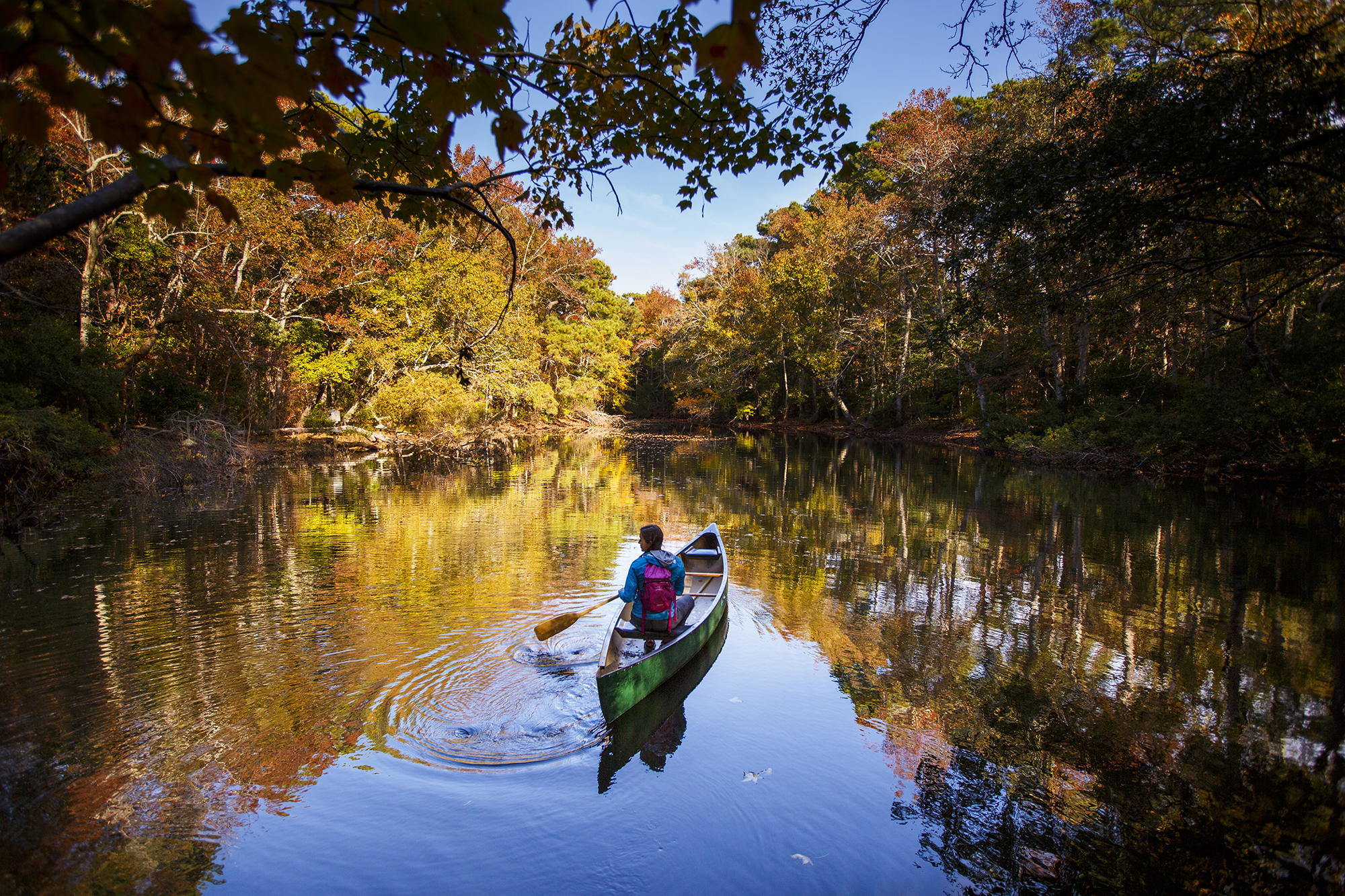 Person in kayak on pond.