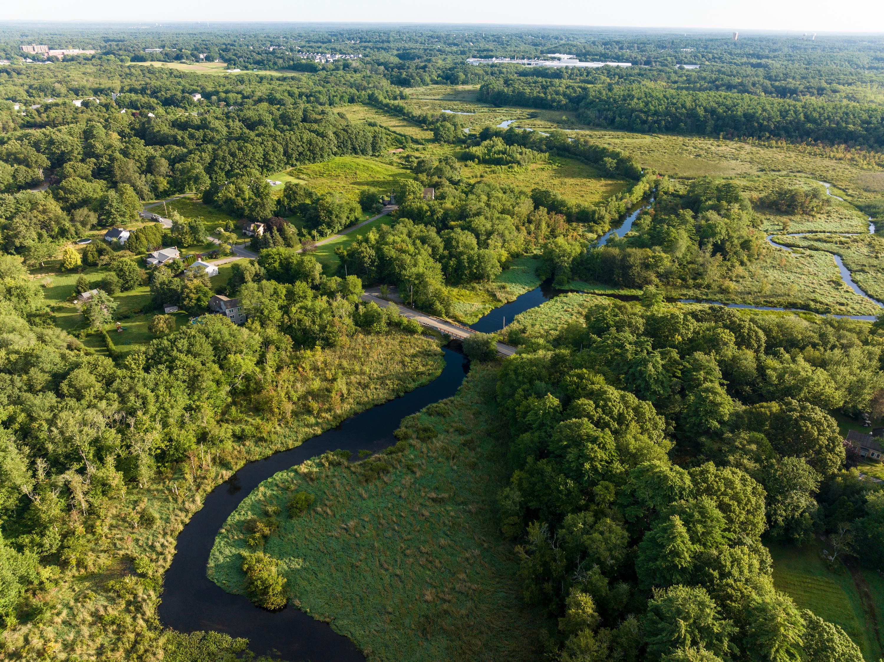 Aerial view of a narrow river winding through a lush green landscape of grasses and trees.