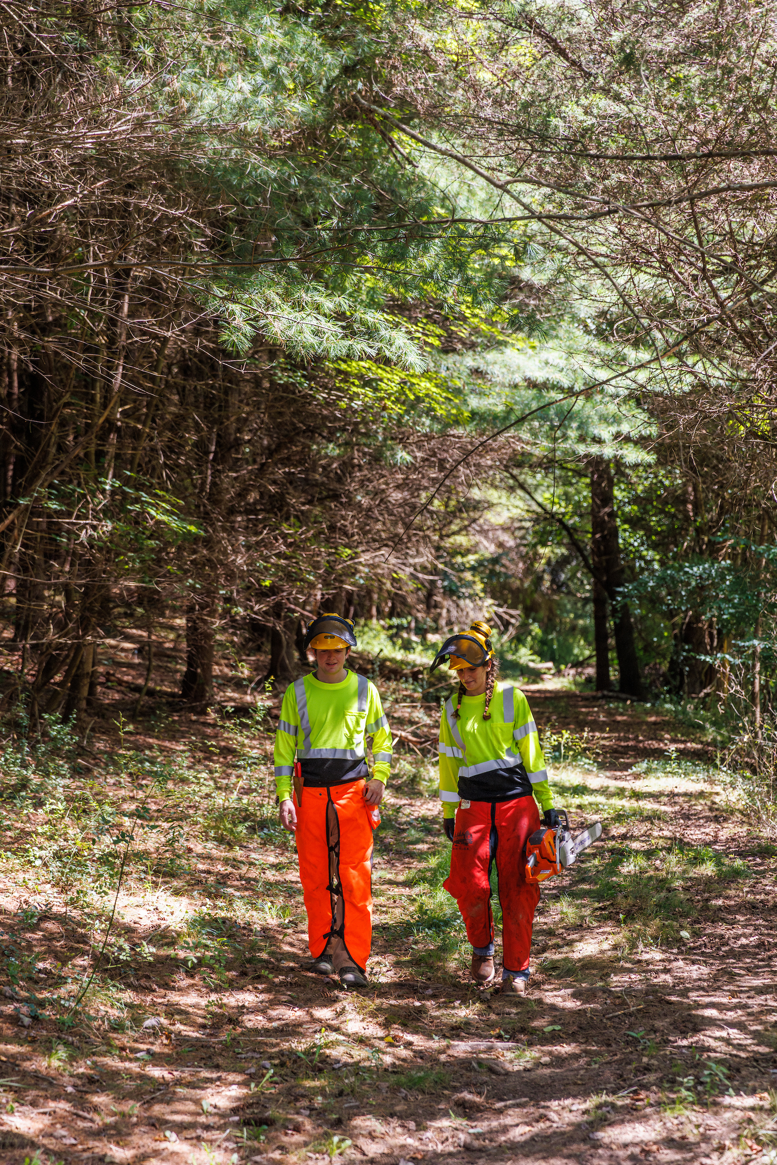 Two forestery apprentices walk down a path in the forest in chainsaw protective gear. One carries a chainsaw.