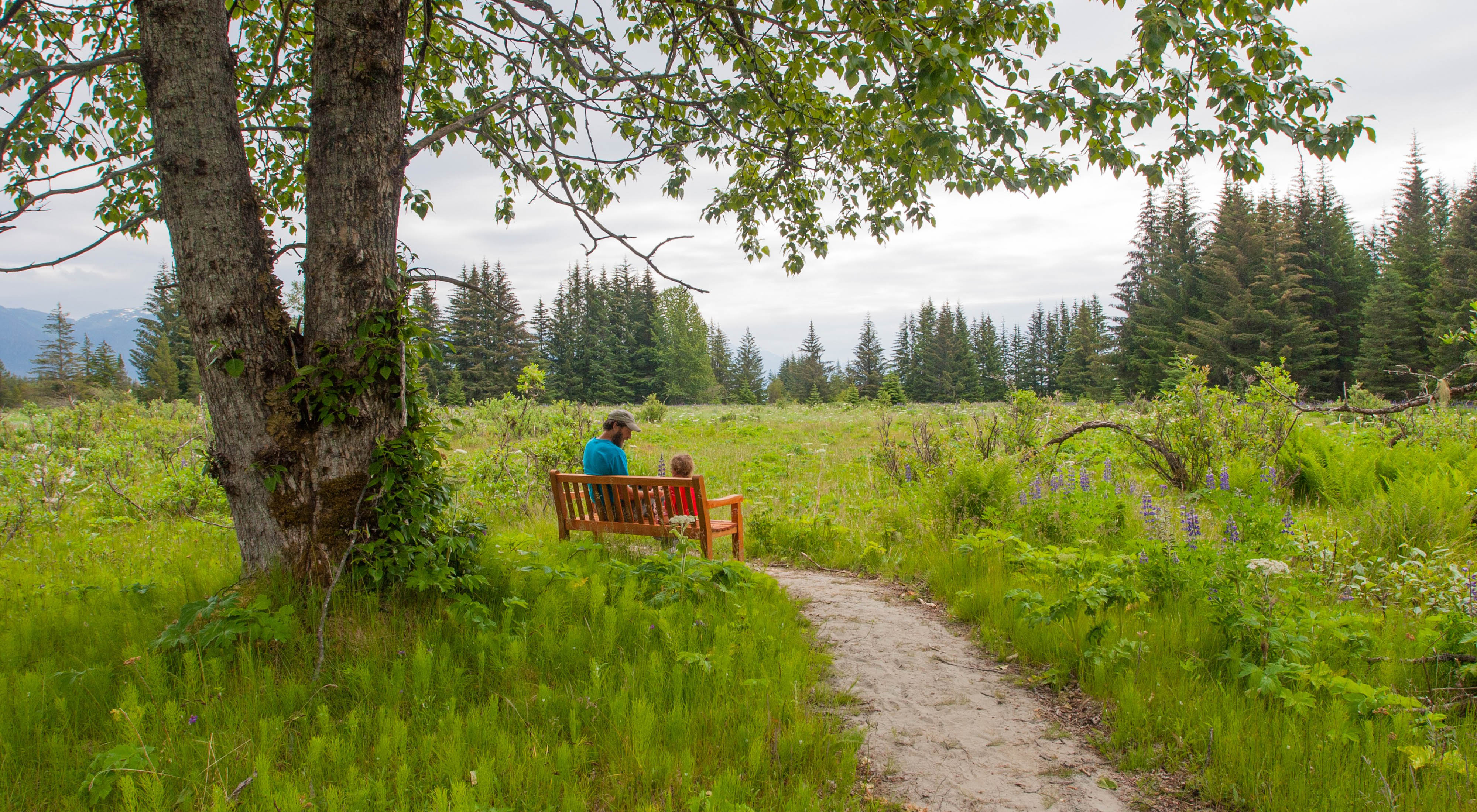 A man and a kid sitting on a bench at a preserve.