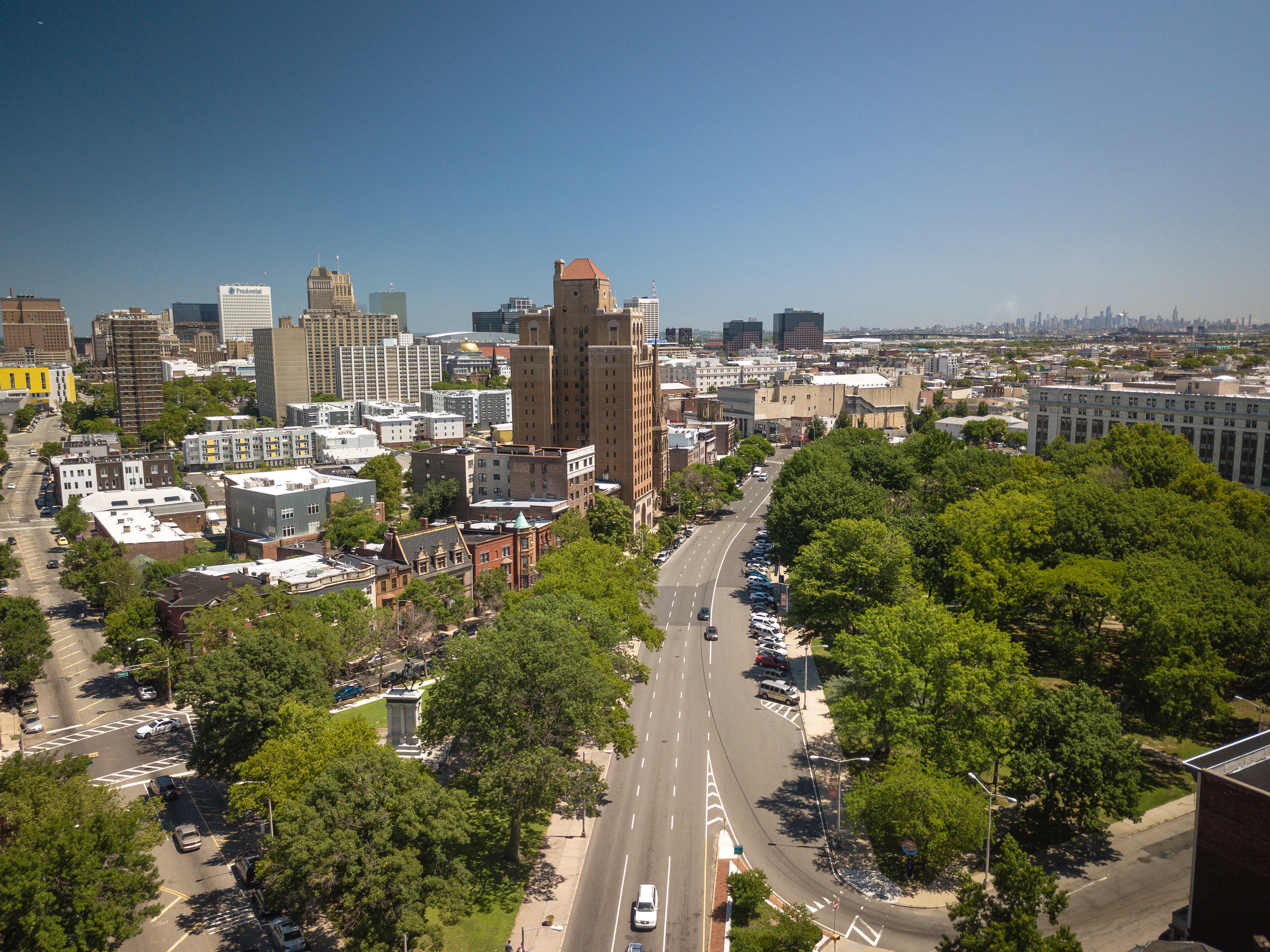 View of trees among tall buildings in Newark.