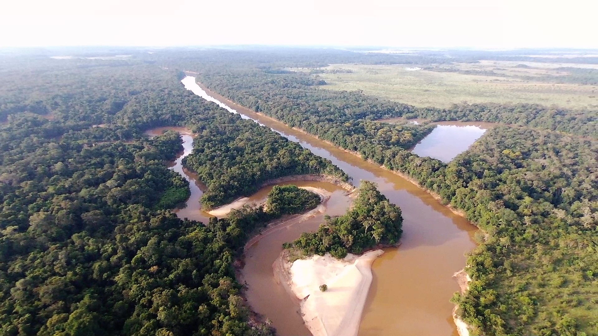 Documento que resume la posición de los actores que buscan un desarrollo en línea con la conservación de la región responsable por el 30 % del agua de Colombia.