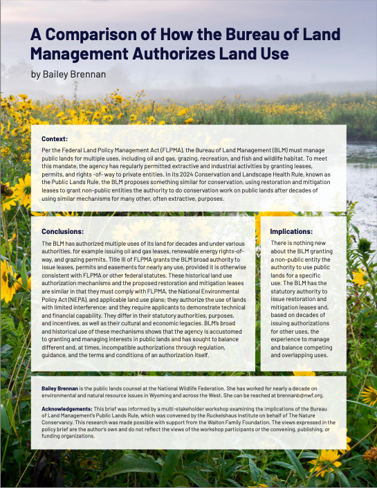 Cover of public lands rule opinion document.