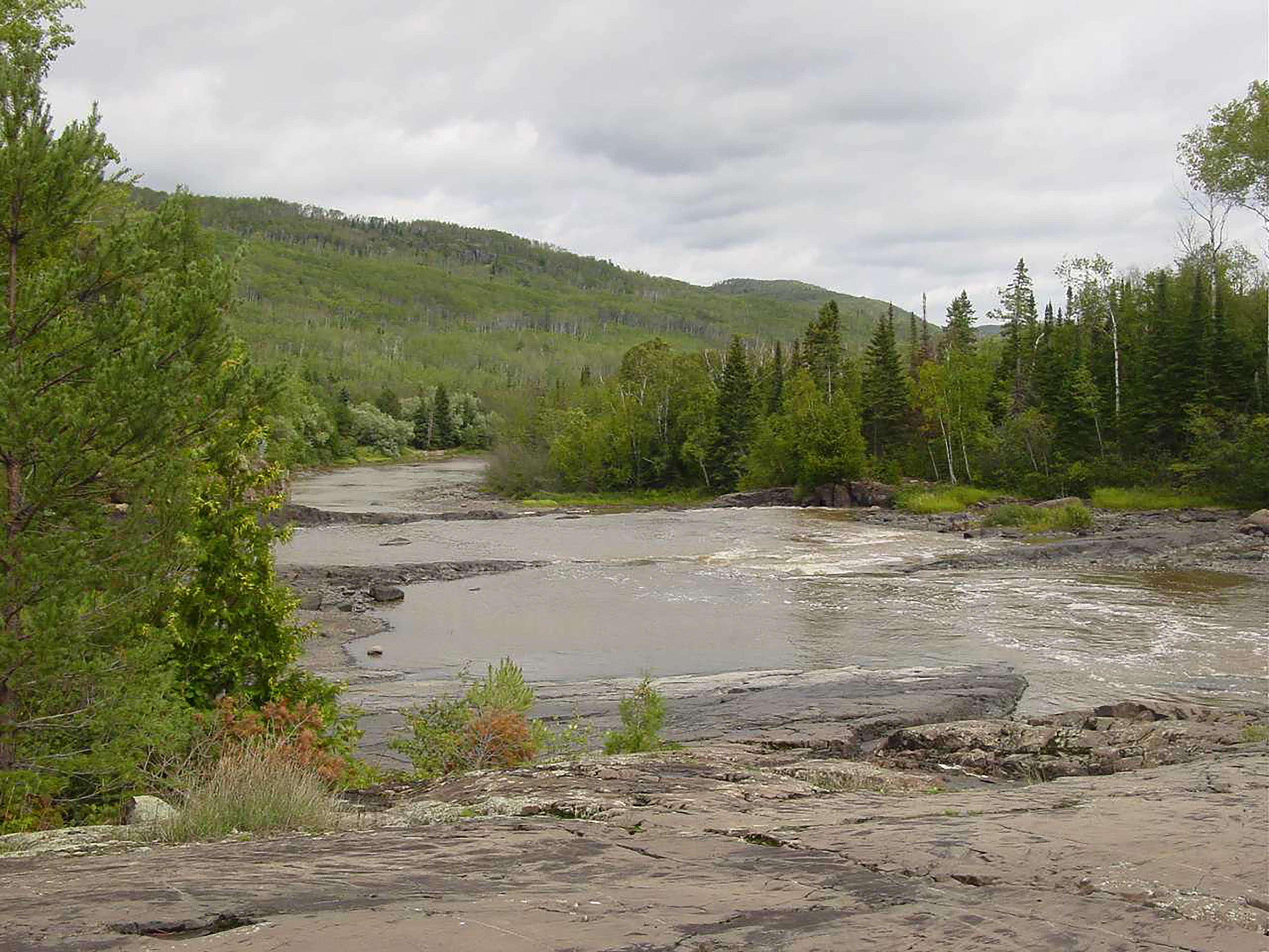 View of a river through a woodland.