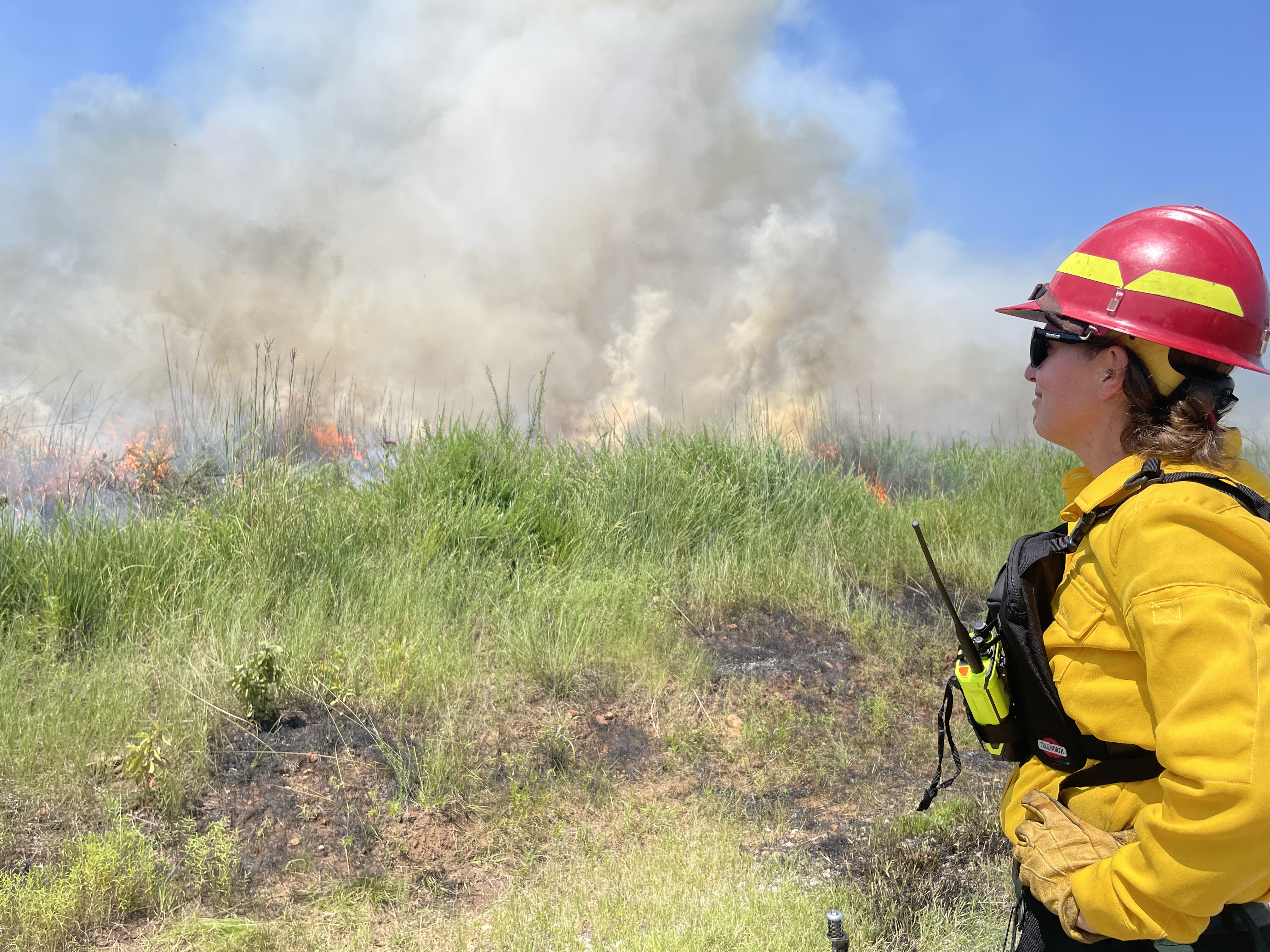Staff looks on over Pearl Jackson Crosstimbers Preserve as the prescribed burn takes place.