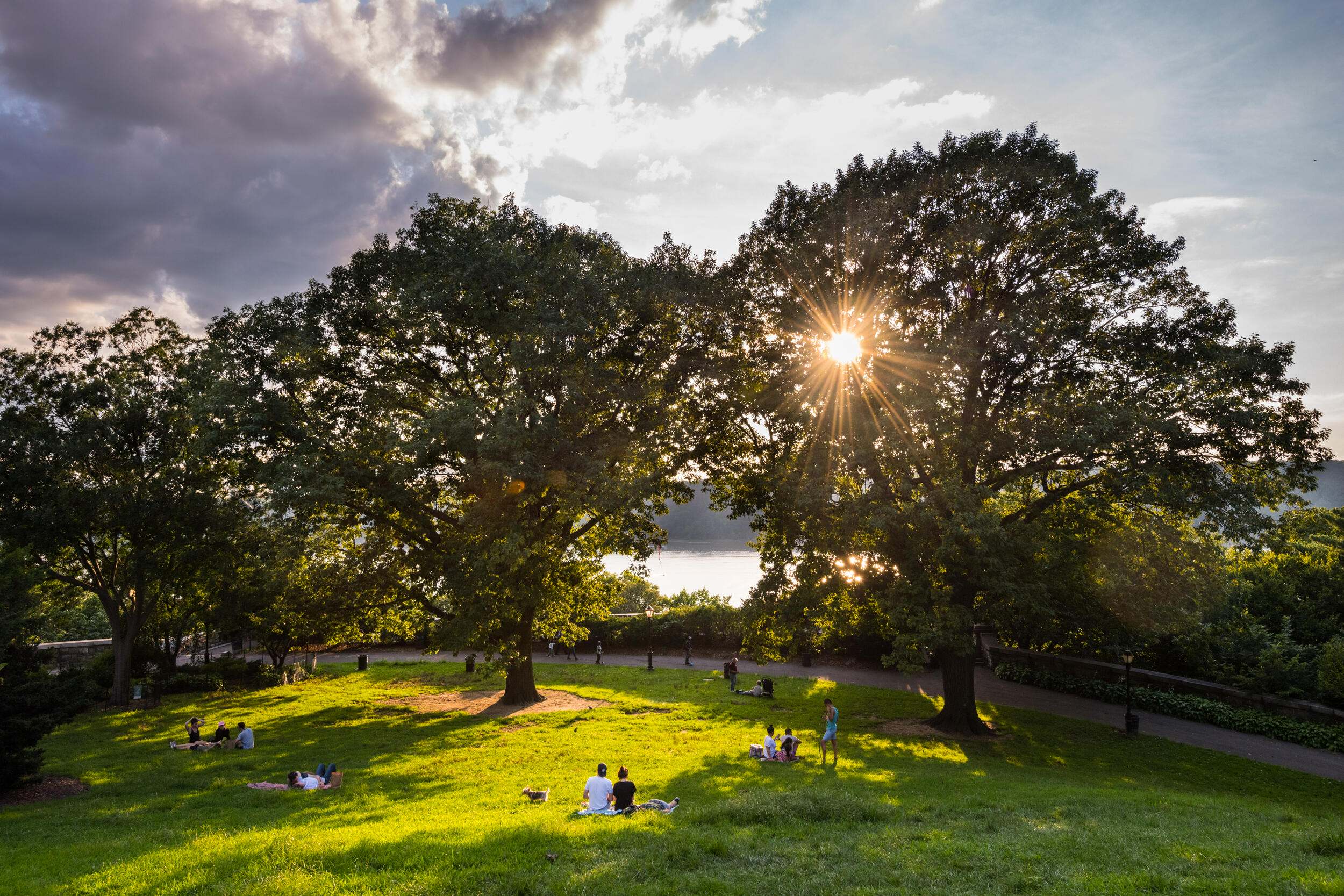 People enjoy the afternoon on the Billings Lawn of Fort Tryon Park along the Hudson River in Upper Manhattan, New York. As New York City sees more intense heat waves and frequent storms due to climate change, planting and tending its urban forest will help cool the air and absorb the torrents of rain. Understanding this vital role of the city’s trees, the New York City Department of Parks and Recreation and local nonprofit New York Restoration Project completed an eight-year project in 2015 to plant 1 million trees.