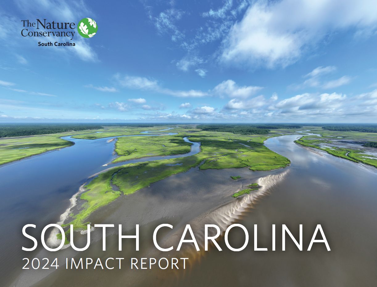 Cover of the 2024 South Carolina Impact Report.