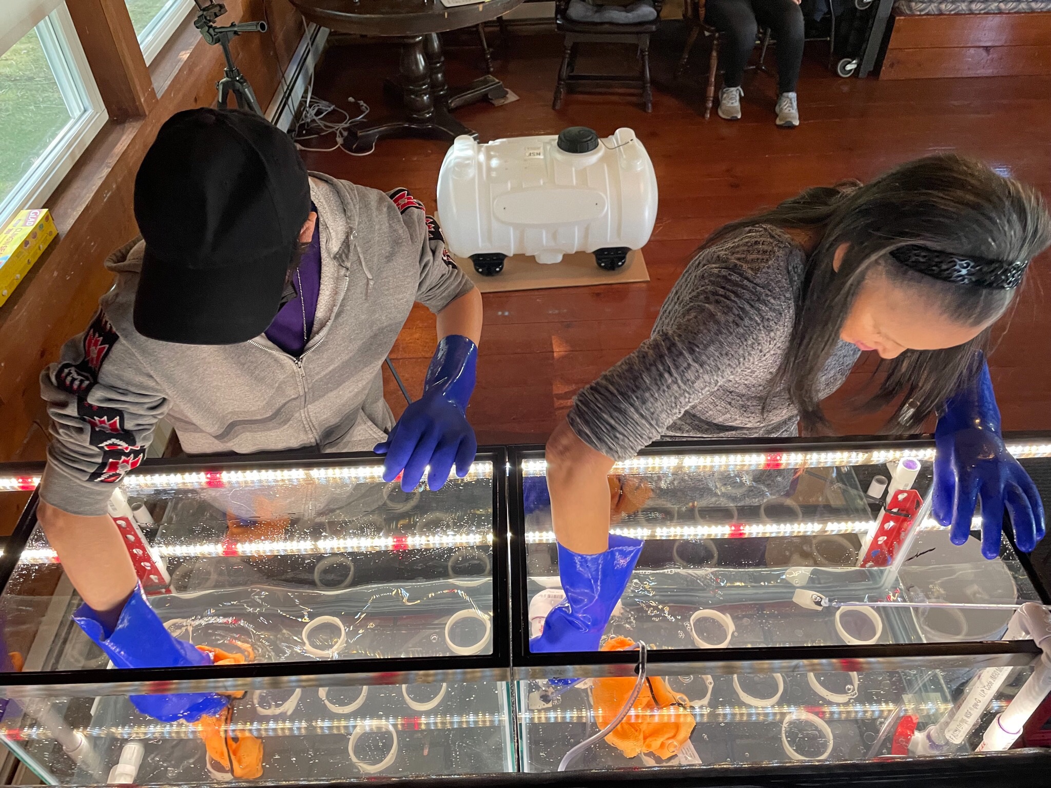 A top view of people in a kelp tank. 