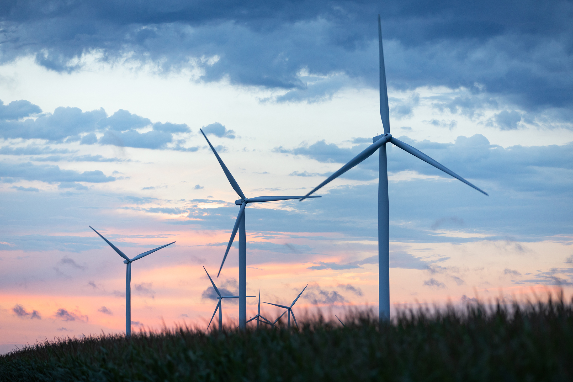 Windmills in a field at dusk.