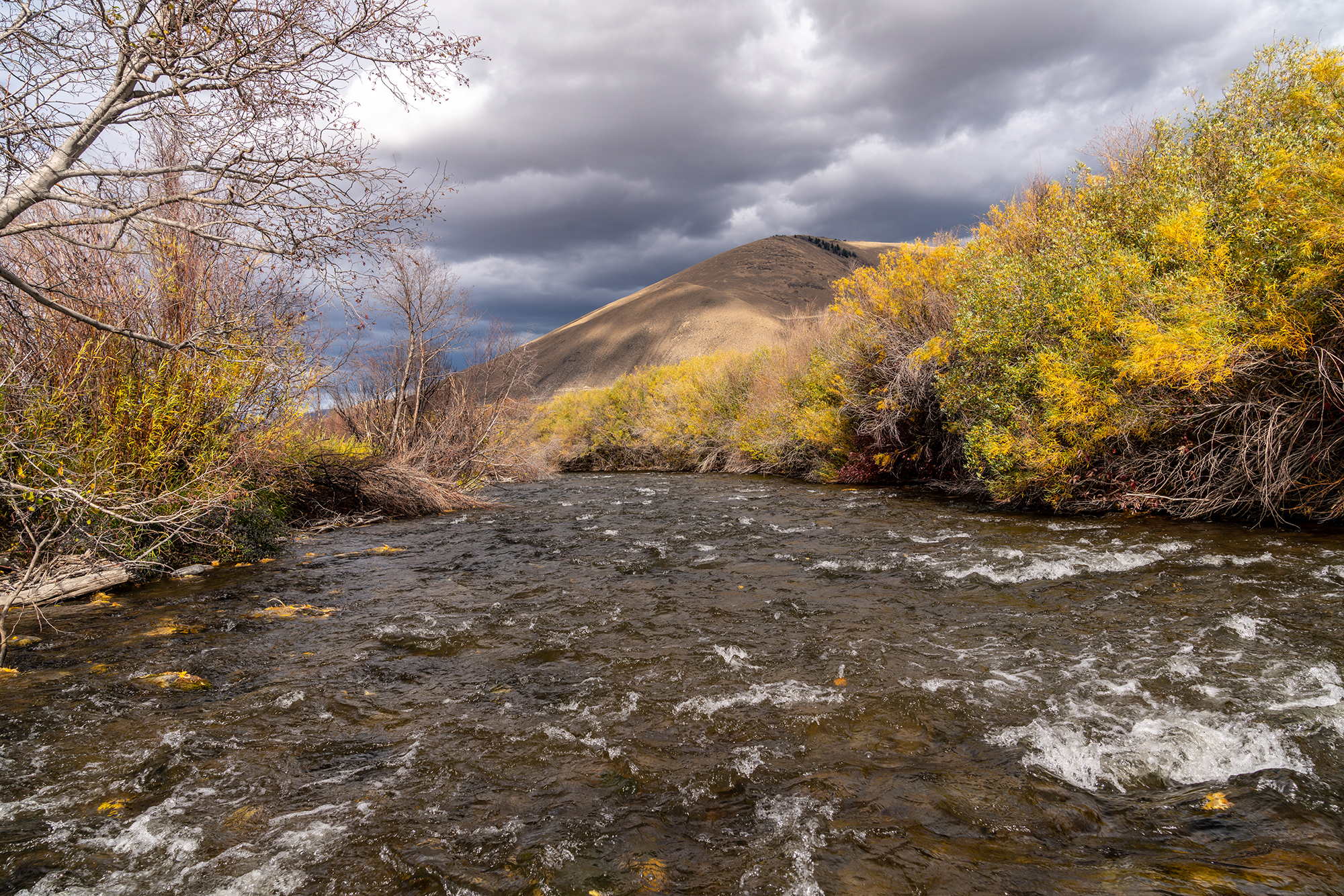 Rushing river with fall follage and cloudy sky.