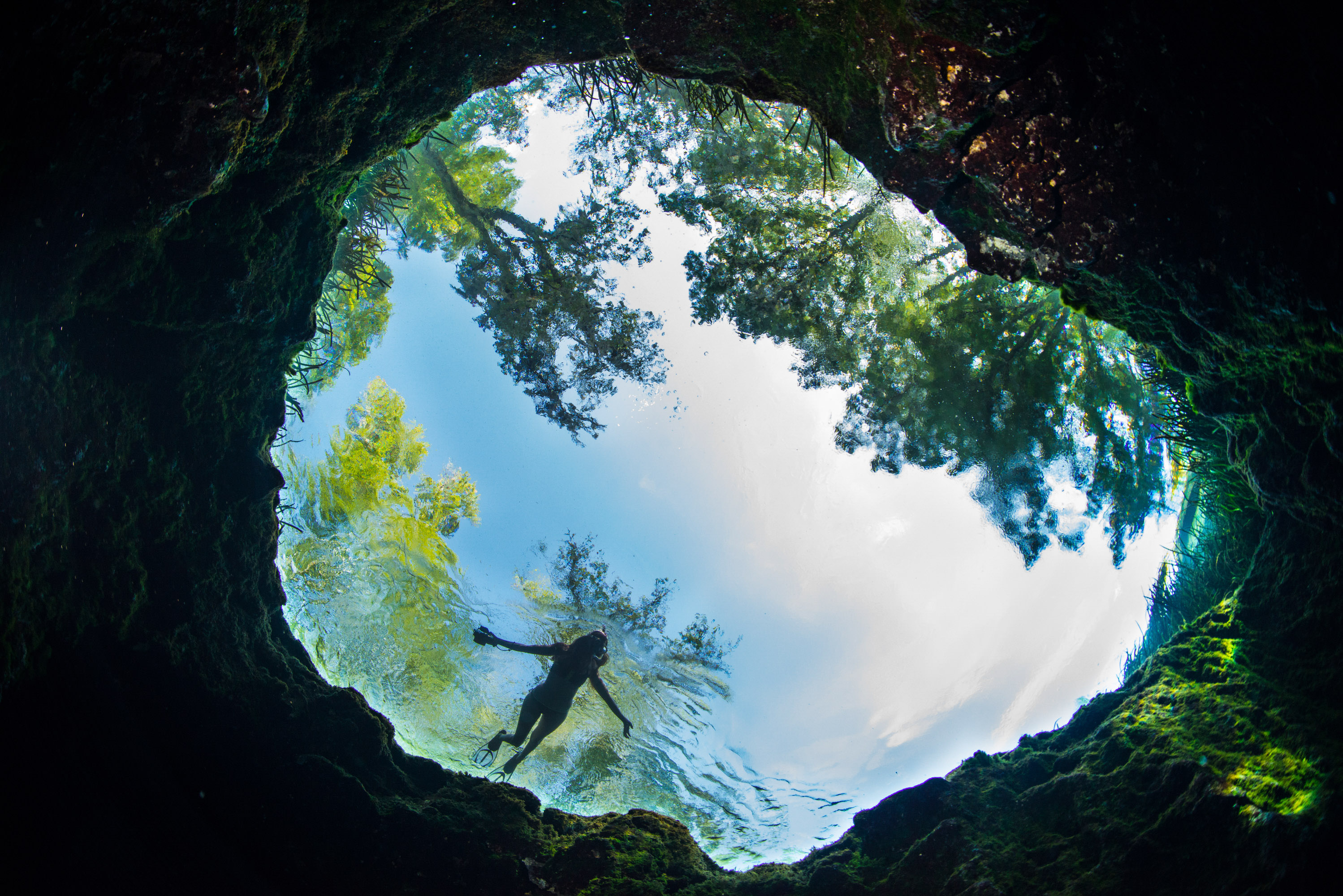 Underwater photo looking up from a Florida spring, a woman swims with the sky behind her.