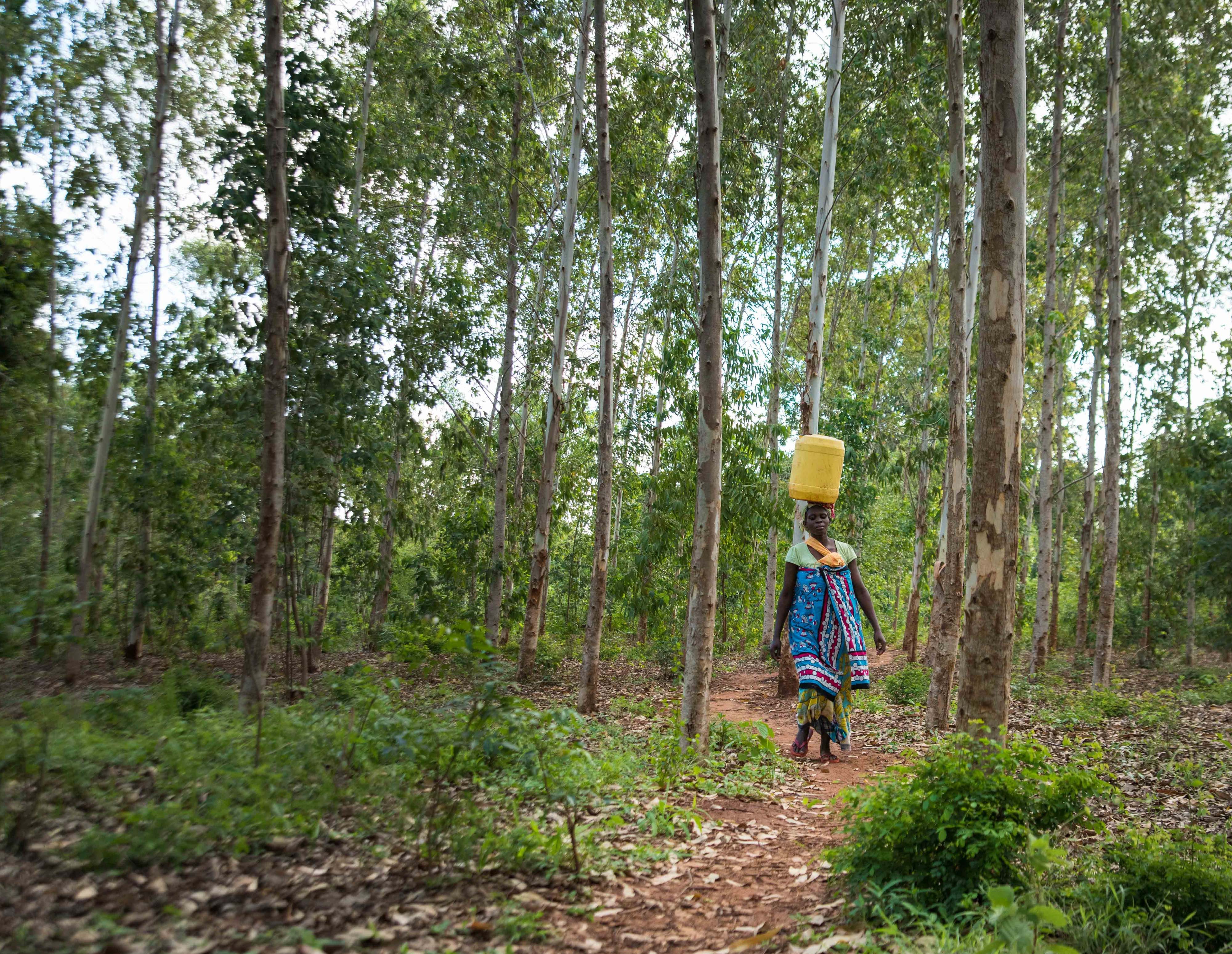 women walking through forest