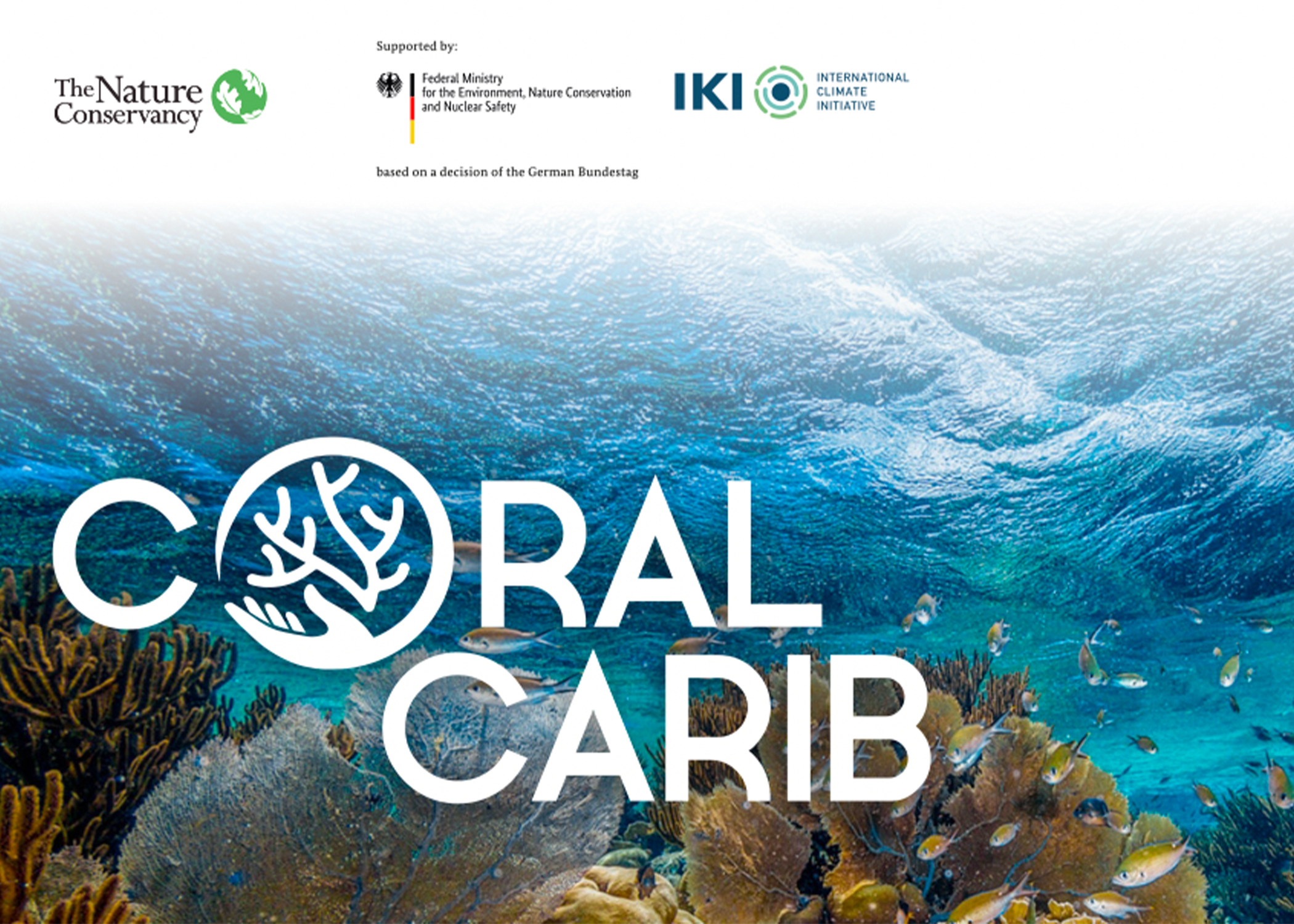 Thumbnail of the cover of the CoralCarib Factsheet. 