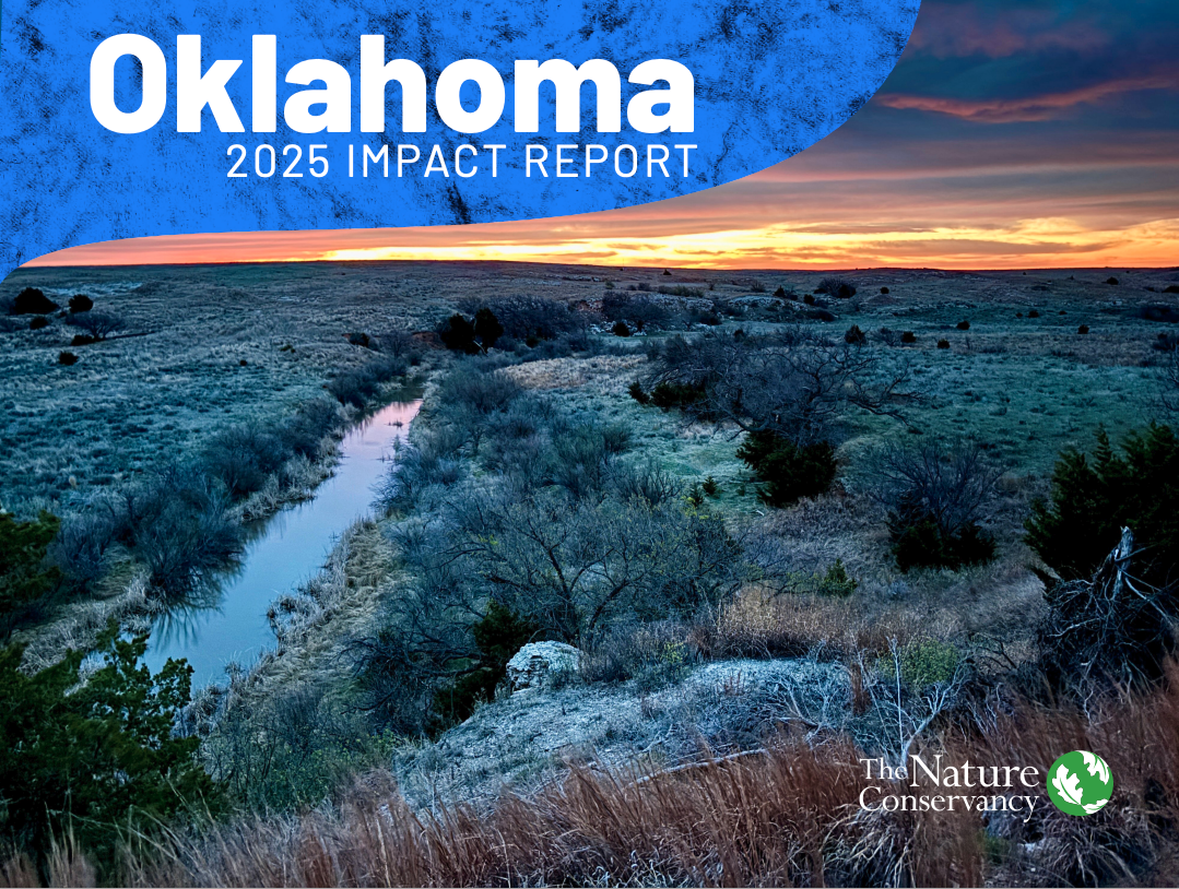 Cover image of the 2025 Oklahoma Impact Report.