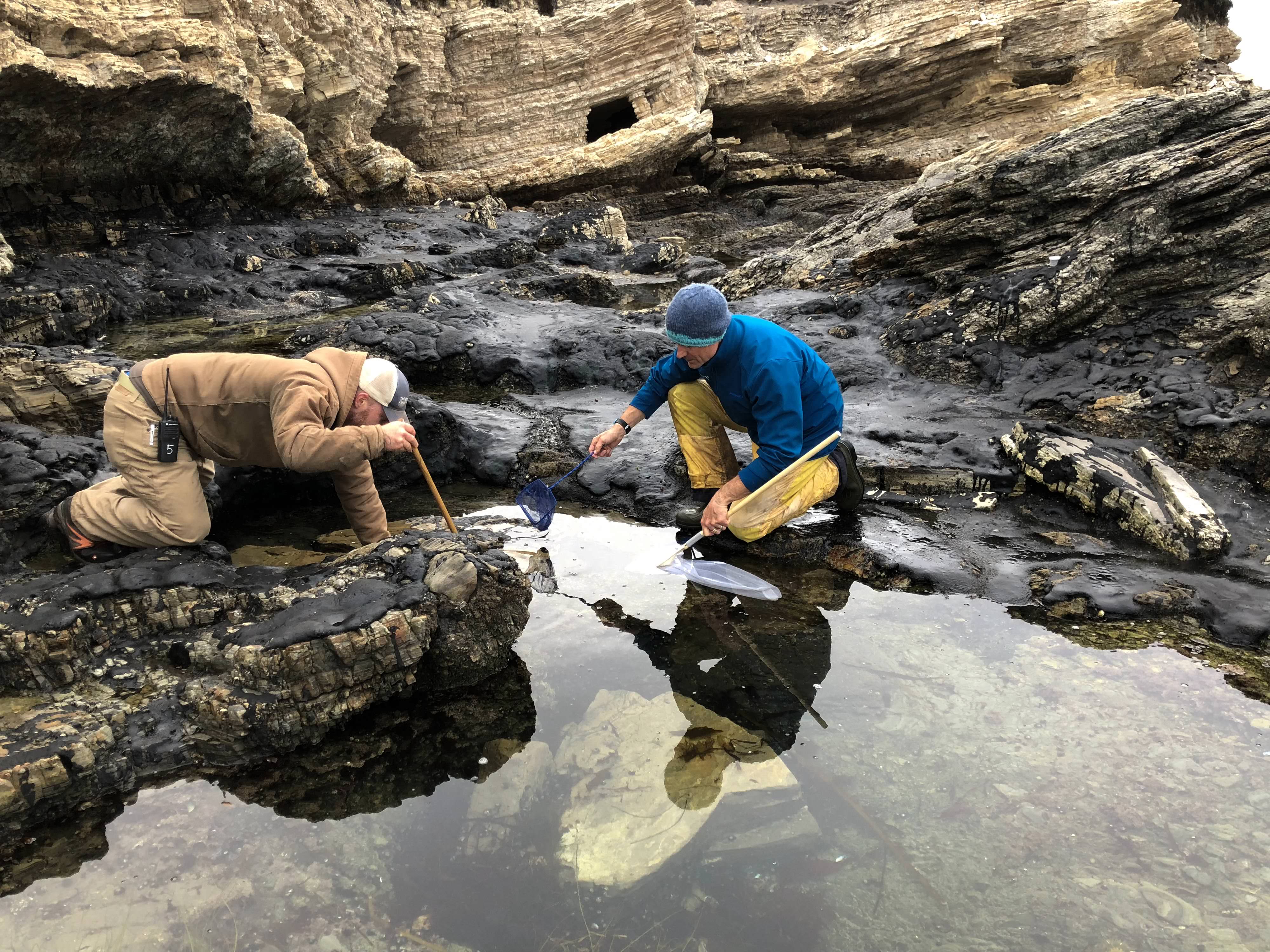 TNC staff collect samples for a biodiversity survey.