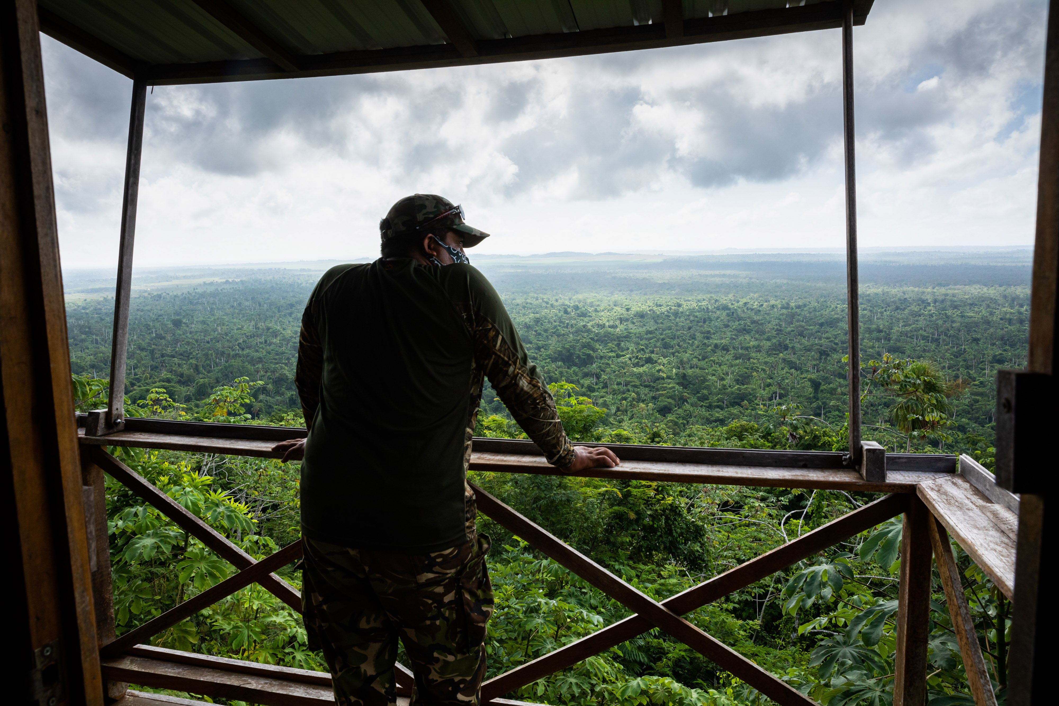 A man in a ball cap looks over a railing at a forest.