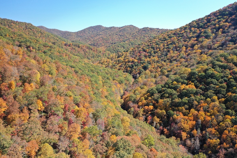 Trees adorned with colorful autumn leaves cover a mountain valley.