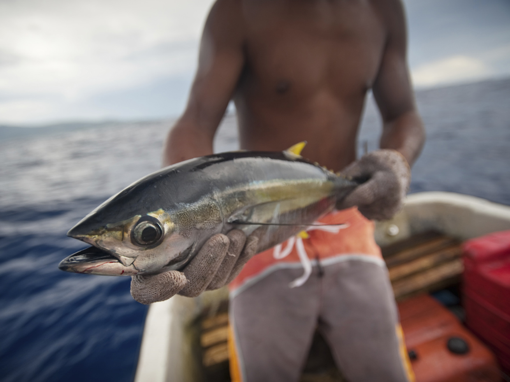 Man holding a tuna from a boat in Micronesia.