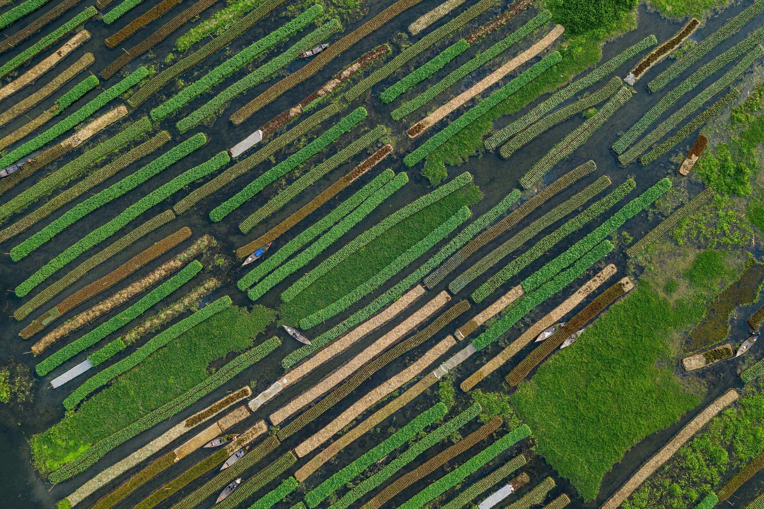 Aerial view of a floating farm.