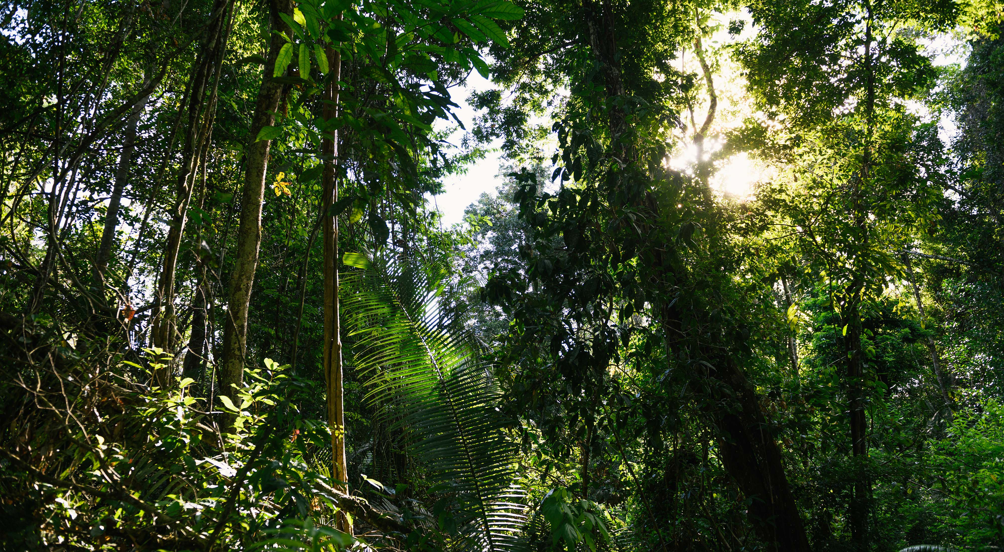Río Bacajá en Pará, Brasil. 