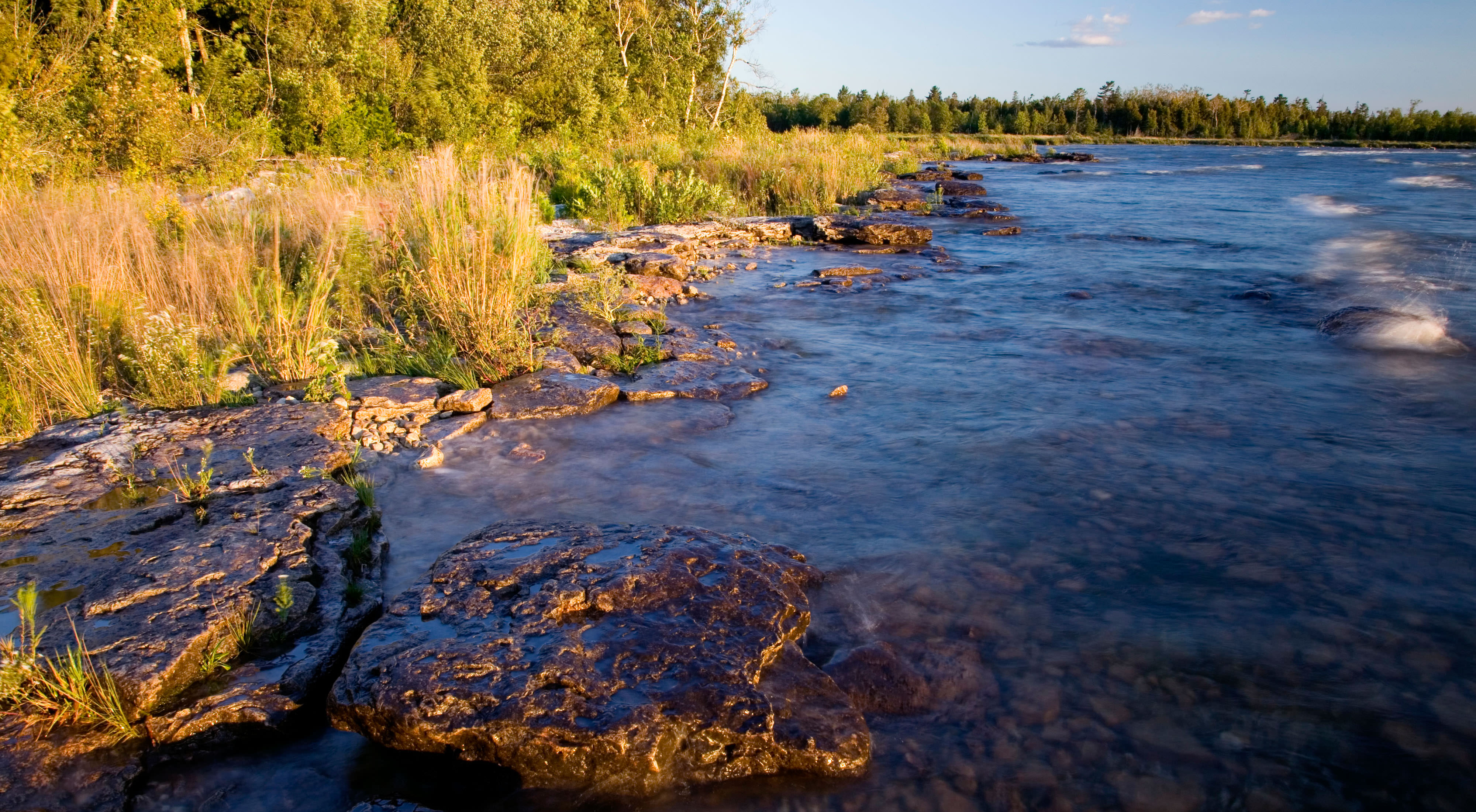 A dark river flows across rocks next to a bank of green trees. 