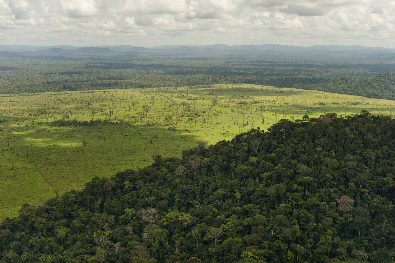 Aerial view in Sumatra, showing deforestation.