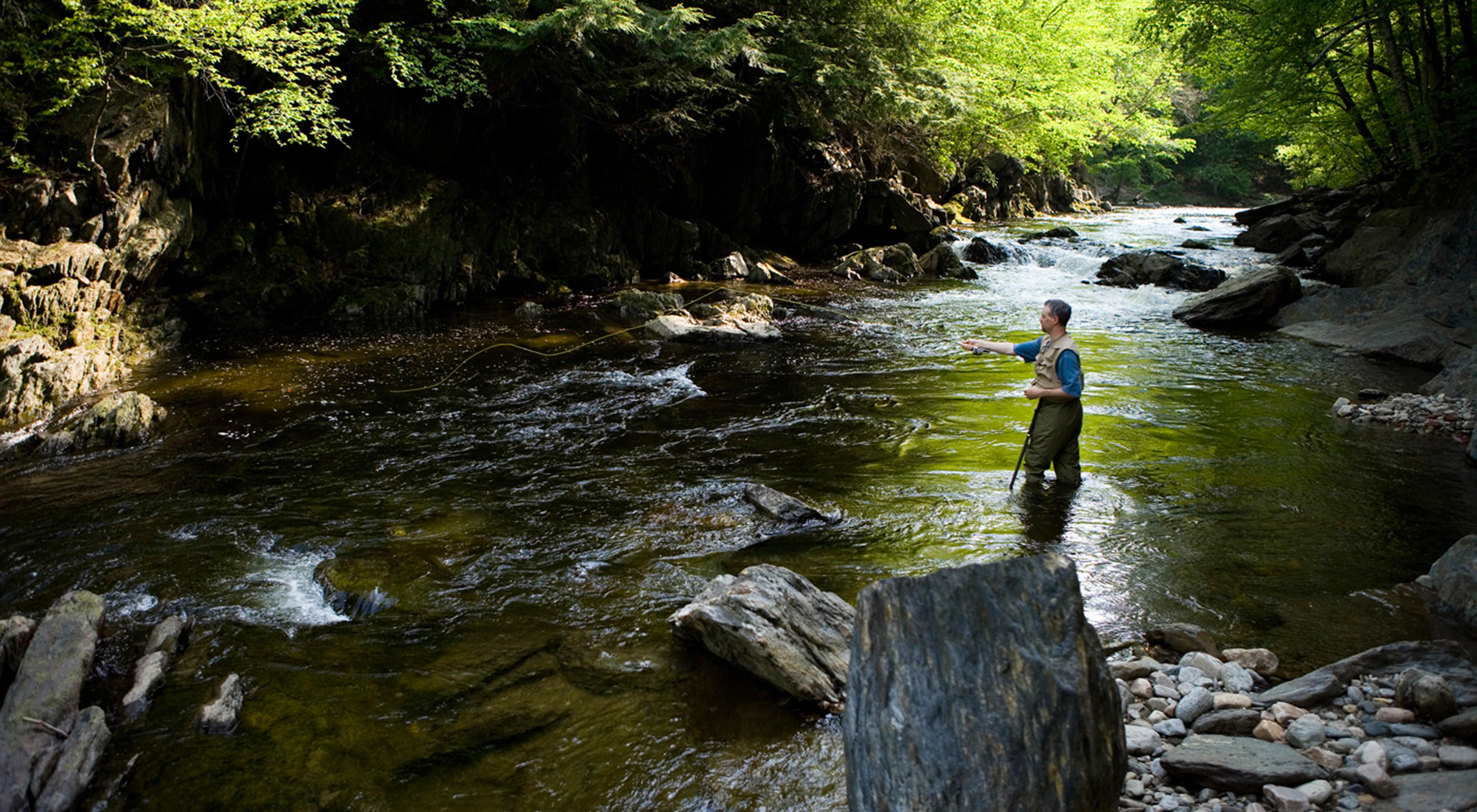 A man casts a fly rod in a flowing, tree-lined stream.