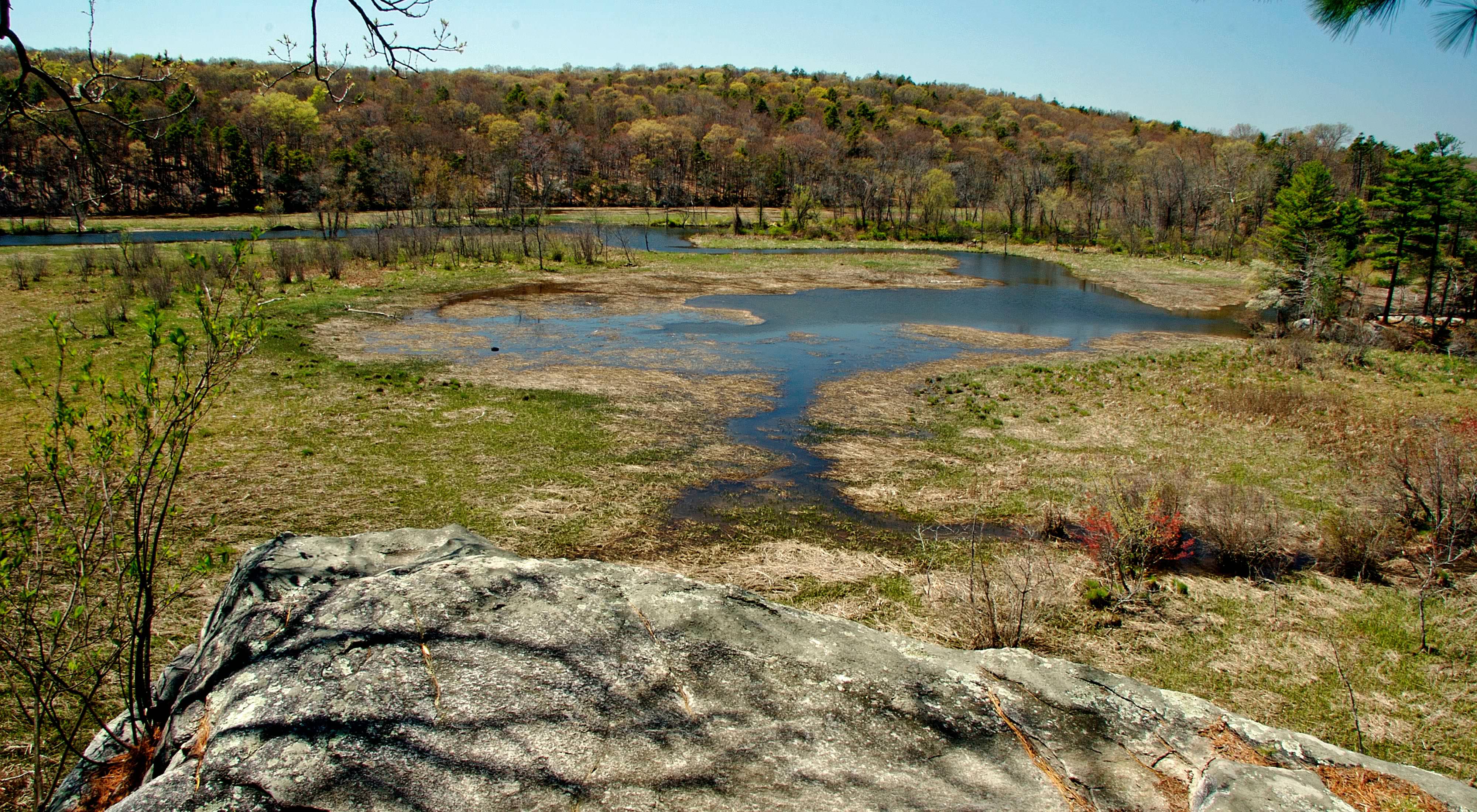 A small pond is visible behind a rocky outcrop.