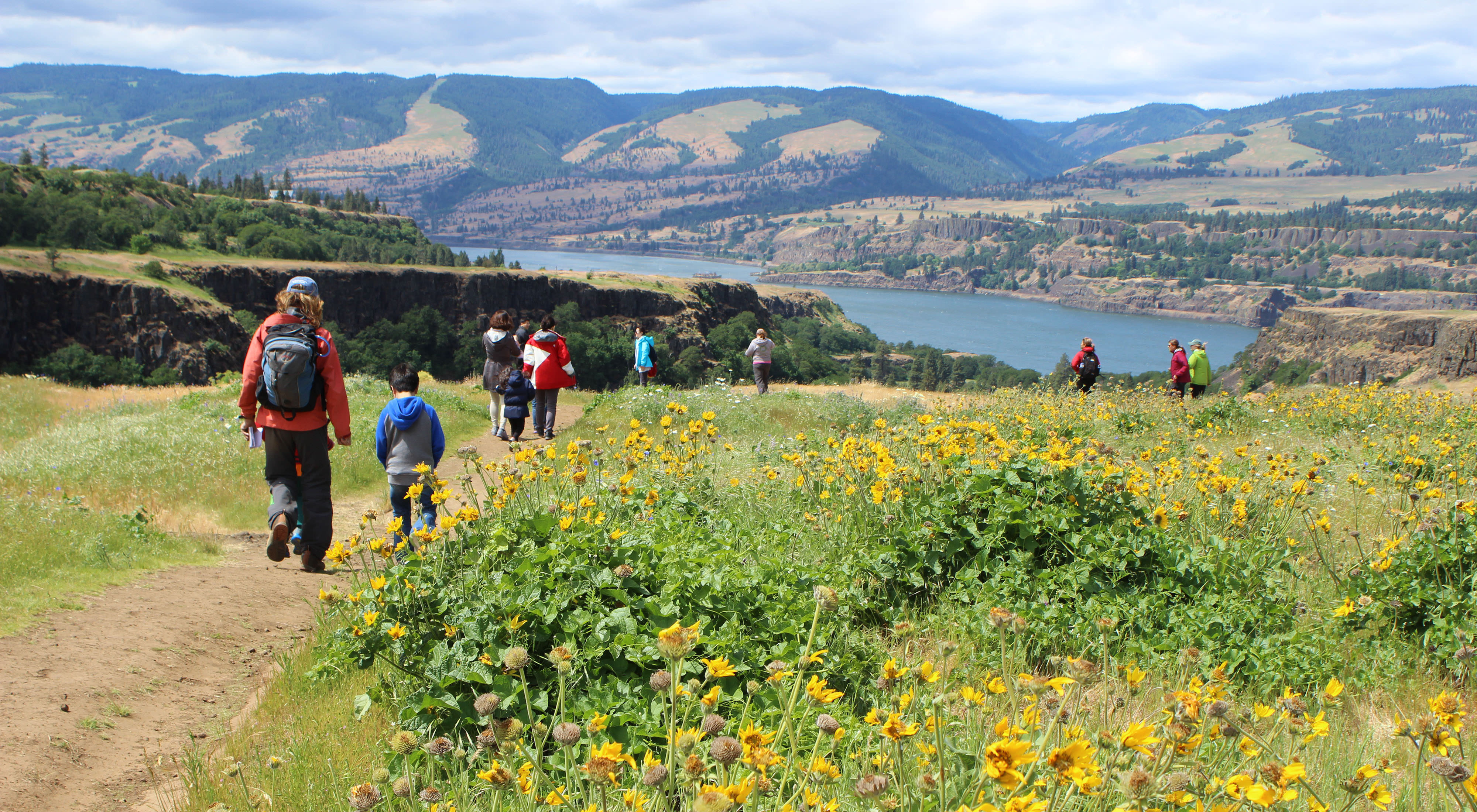 At Tom McCall Preserve, spectacular spring wildflower displays grace this magnificent plateau overlooking the Columbia River.