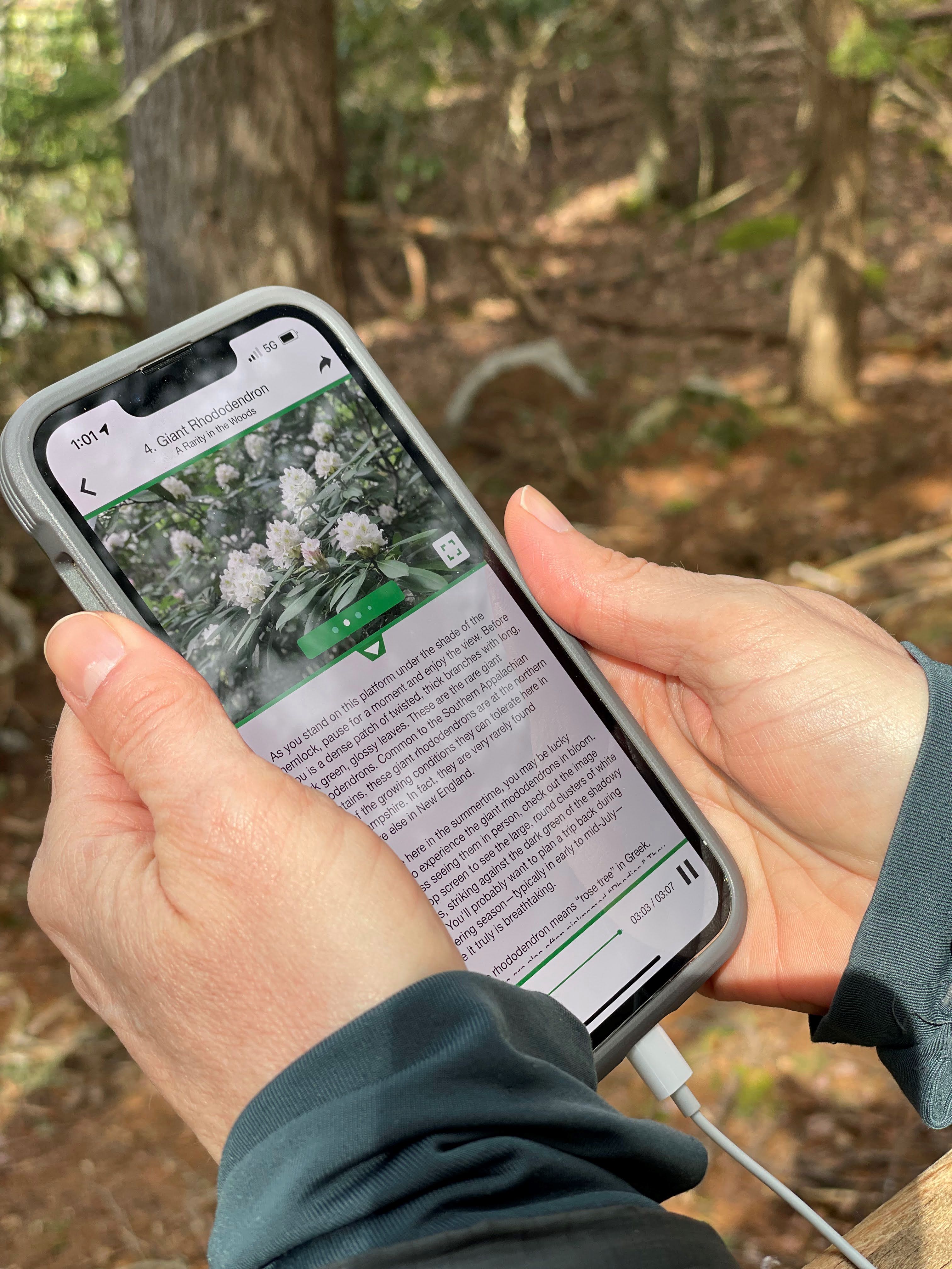 A person holding a cell phone.