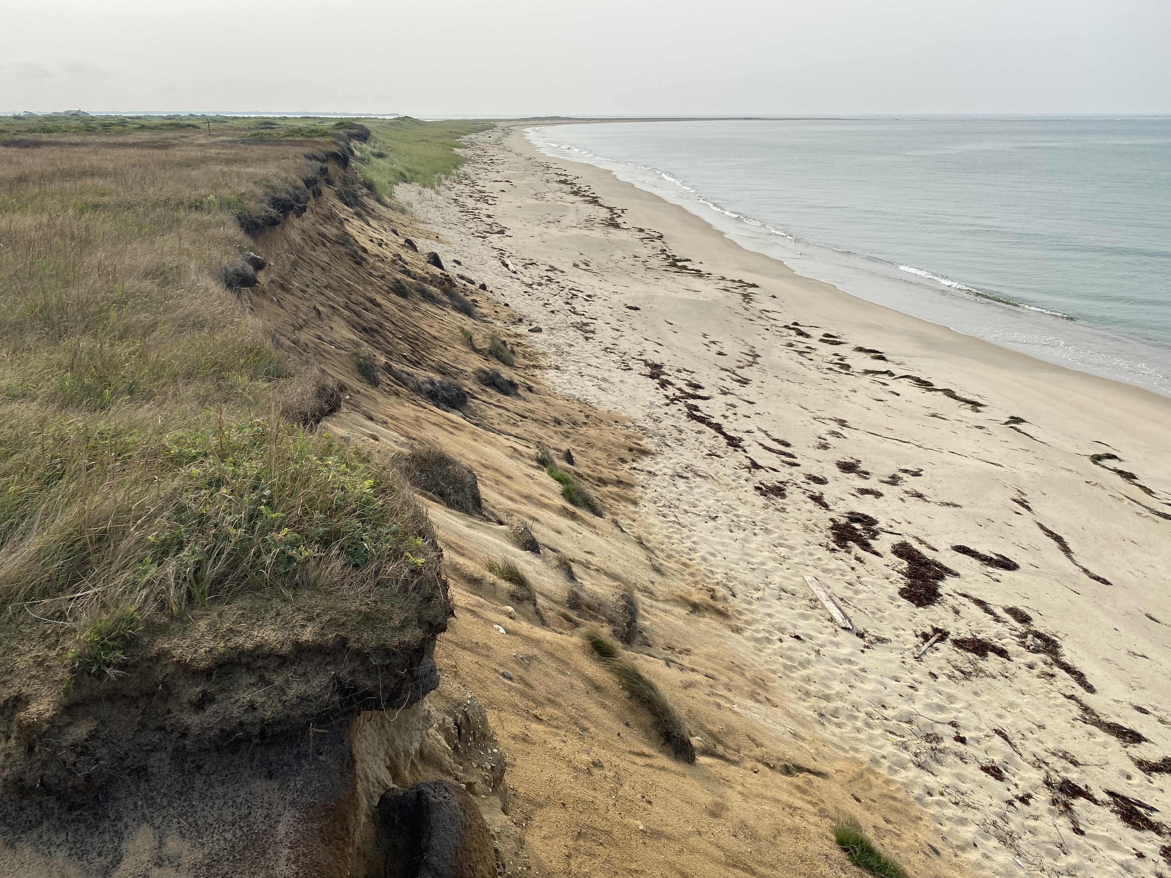 A coastal bluff on Tuckernuck Island where its evident that the edge of the bluff is falling into the ocean.