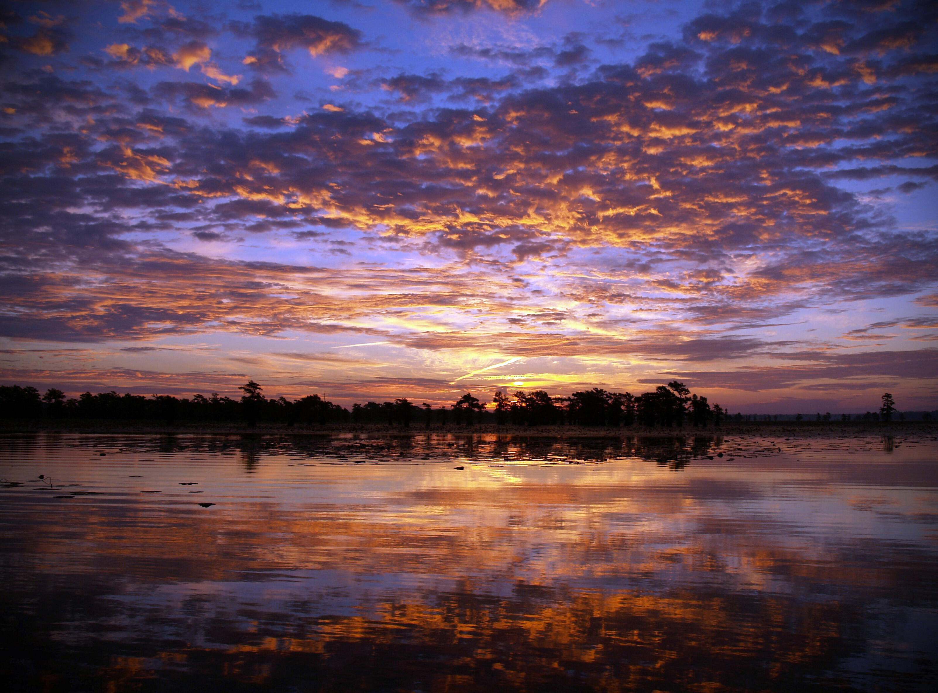 Pink sky at Fred & Loucille Dahmer Caddo Lake Preserve.